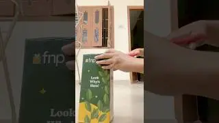 Jade plant from fnp | beautiful jade plant unboxing #vlog #shorts #fnp #minivlog #unboxing
