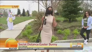 Social Distancing Easter Bunny