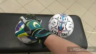 Вратарские перчатки HO Soccer /prosportspb.ru