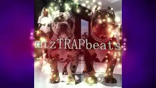 FREE TYPE BEAT AT 165 BPM KEY G
