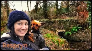 Respryn | My Dog & Me | Cornwall |  SUBTITLED