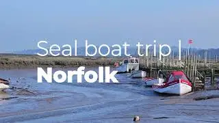 Seals in Norfolk | What's it Like Onboard a Seal Boat Trip