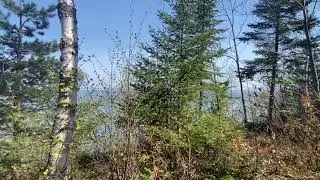 16858 W Lakeshore Dr., Brimley, MI