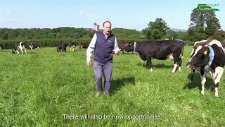 Overview of the Dairy industry in Ireland in 2024