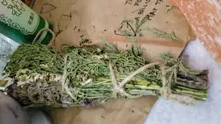 Energy Cleansing Tools for Beginner Witches