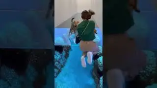 😂🐾🐟300 IQ Cat vs Dog&hellip; and Then Everyone Falls Unexpected Twist Happened #pets #animals #humor