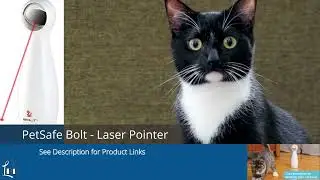 Best Cat Toy Lasers for Indoor Cats
