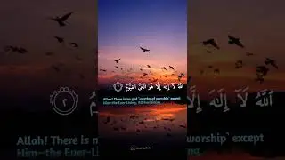 2023's Most Popular Islamic Quotes for Your WhatsApp Status| black screen status | #shorts #trending