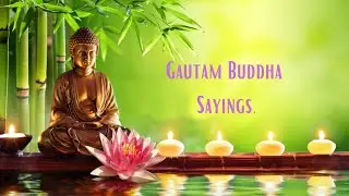 The things can not be hidden | Gautam Buddha Quotes | Buddha quotes | Daily Morning quotes #shorts