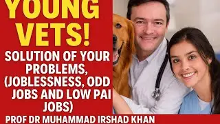 Be Your Boss and Do Business: Solution of  the Problems of Young Veterinary Graduates