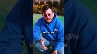 STOP Mowing Your Lawn!