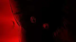 lamour toujours x hardtekk (treit flip)