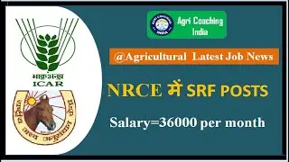 ICAR-NRCE, Hisar (Haryana) में SRF Job Notification 2022 || @agricoachingindia