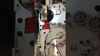 PVS Singulator