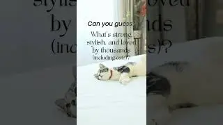 Strong, stylish and loved by thousands, including cats! | Nodax wooden bed frames