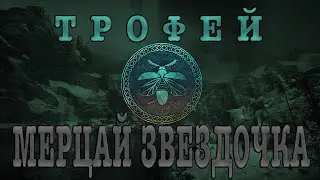 МЕРЦАЙ ЗВЕЗДОЧКА: ТРОФЕЙ В ASSASSIN'S CREED VALHALLA 2020 (ГАЙД ОТ MAXADVO).