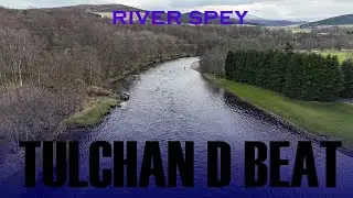 The River Spey - Tulchan Beat D March 2025