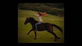 Mika und Ostwind 🐎💗 #mika #ostwind #windstorm #sz&eacute;lvihar #edit #loveyoulikealovesong #selenagomez