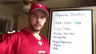 Understanding Adrenal Fatigue Part 6 - The Relationship Between Dopamine & Serotonin