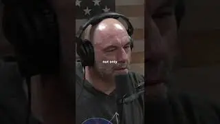 How Trees Communicate with each other | Joe Rogan #shorts