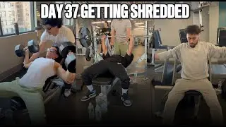 DAY 37 GETTING SHREDDED | CHEST & BACK WORKOUT + ABS & CARDIO (GYM VLOG)