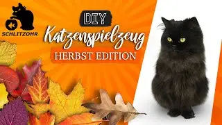 🔥DIY Katzenspielzeug Herbst Edition | Katzenspielzeug selber basteln | Katzen Hacks