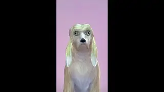 Making ✨QUESTIONABLE✨ dog breeds in The Sims 4 😳