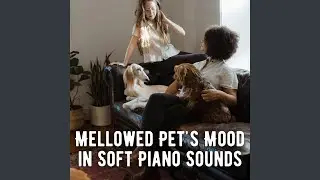 Peaceful Pet Harmony