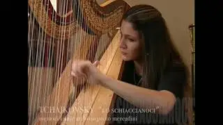 Salvi Harp  