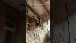 #greenhomesolutions #houstontx #indoorair #moldremediation #moldremediationhouston #houstonhomes