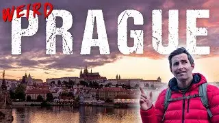 Weird and Wonderful Things to See in Prague &ndash; From Bizarre Art to Giant Nutria!