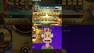 Best Bitcoin Casinos: Top Bitcoin Gambling Sites & Bonuses
