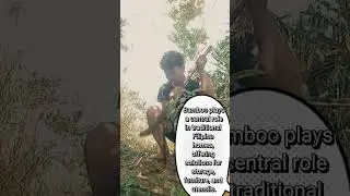 UMINGA VINCENT IAN T. BSIT AT 2A TREE PLANTING THE CONTEMPORARY WORLD