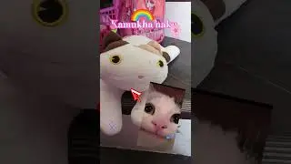 the funniest video in the world