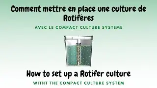 Culture de rotif&egrave;res