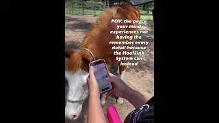 Less Stress | Lip Chip #lessstress #horse #peace #equestrian #country #farm #ranch #western #lipchip