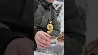9 лет вместе! 🐯 Кот Плюх.