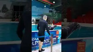 Dolphin Sing - a unique way to have a fun time in Dubai