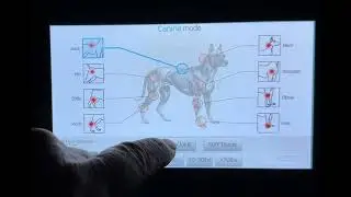 MPACT VET shockwave therapy software