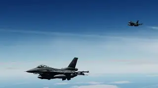 Polish Viper&rsquo;s