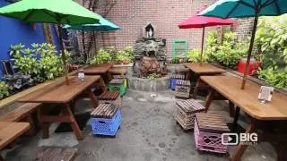 Caracas Arepa Bar Restaurant New York for Venezuelan Food and Cocktails