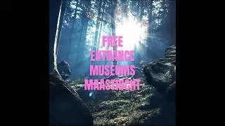 No entrance fee! Discover free museums in Maastricht #maastricht #museum  #travel #art