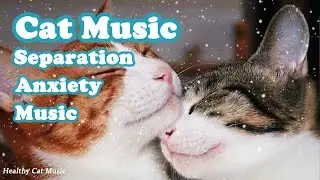 😺Cat's Piano Sonata♫Harmonious Healing for Restful Sleep💖Healing Piano Music