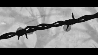 Gretchen Peters - Blackbirds (Official Music Video)