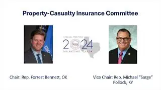 2024 Annual Meeting: Property-Casualty Insurance Committee