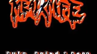 Meatknife 2007 -  Guts, Grind & Gore