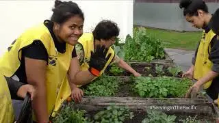 Helping Hands Volunteers Flaxmere New Zealand