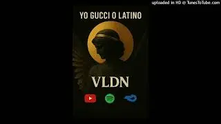 YO GUCCI - VLDN