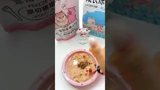 Immersive Cat Meal & Mukbang ASMR-Day 5, a pink day.