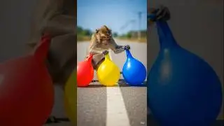 monkey pop the balloons #kids #kidsvideos #kidssongs #kidsrhymes #kidsfunnyvideos #kidsdance